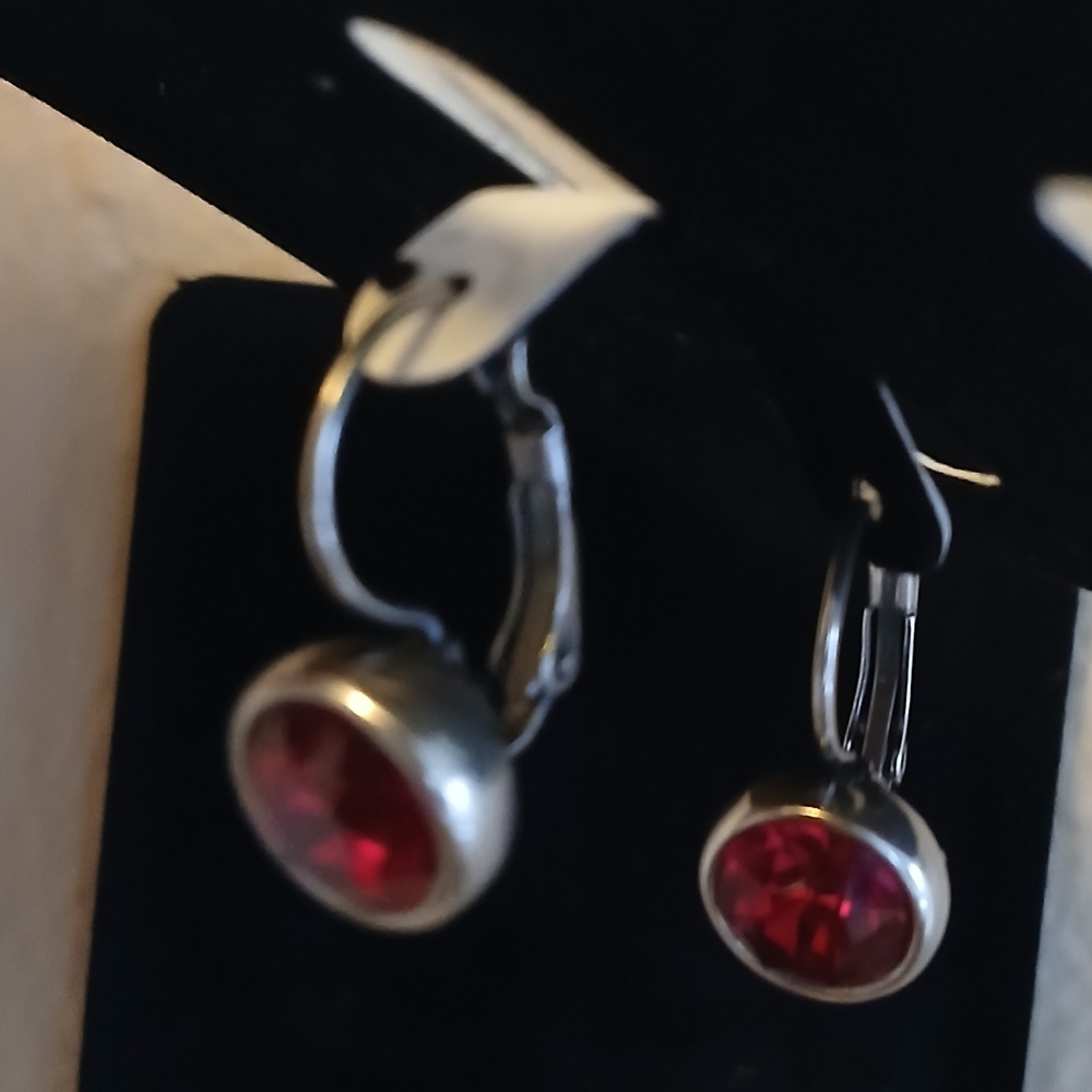 Elegant Touchstone Crystal Silver and Red Gemstone Earrings